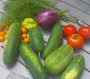 Vegtables grown in the Chatham Community Garden